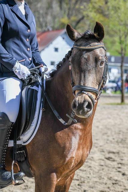 皇家馬德里 皇家馬德里